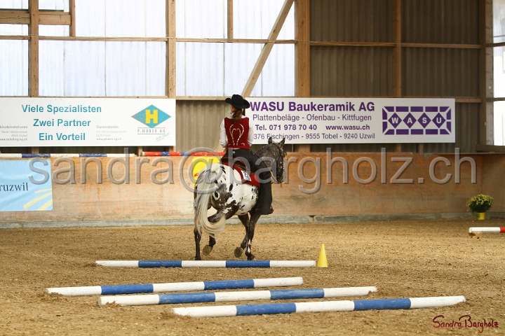 26-ApHC GT_013.jpg